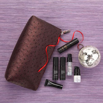 On the Go Beauty Kit 10.15.201209799 Holiday on the go web Youngblood Minerals Holiday Gift Guide holiday gift guide