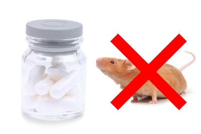 6241546 m China Getting On Board with Non Animal Tests? cruelty free beauty products cruelty free 