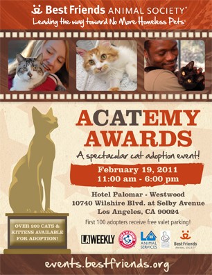 AcatemyAwards_LA_Postcard AcatemyAwards LA Postcard LA & NJ 1st Annual aCATemy Awards!