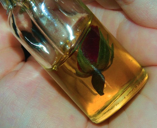 DSCN5536 Mountain Rose Facial Oil by Mountain Spirit Botanicals Vegan not tested on animals cruelty free beauty cruelty free 