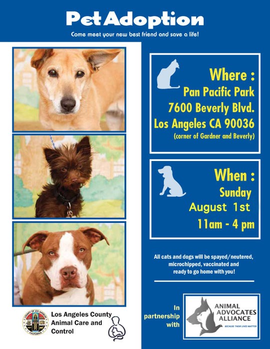 Adoption.Flyer.01312010.LowRes Pet Adoption Los Angeles