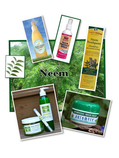 PicCollage What the Heck is Neem? 