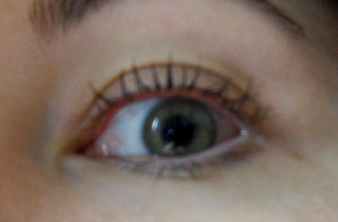 Zuzu_Mascara Zuzu Mascara Cruelty Free Mascara Showdown cruelty free mascara cruelty free beauty
