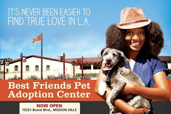 bestfriends bestfriends Score a One Year Supply of Pet Food with Hoops for Homeless Pets cruelty free