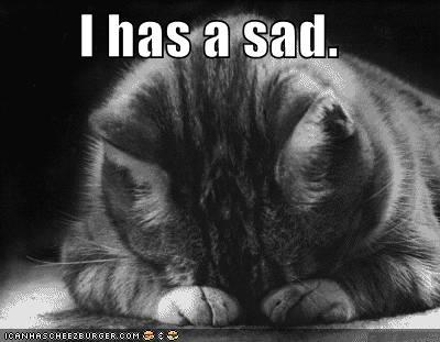 funny-pictures-sad-cat-blackandwhit funny pictures sad cat blackandwhit MAC is No Longer Cruelty Free?